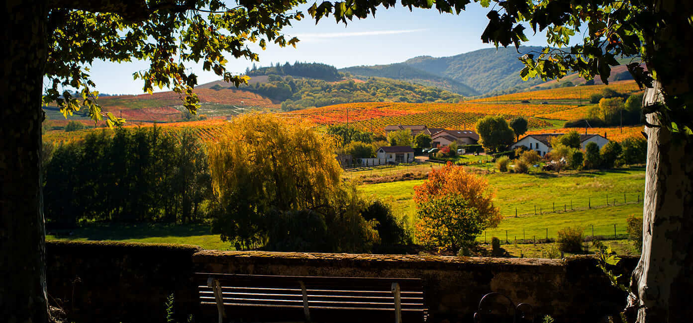 Le travail dans les vignesAu fil des saisons