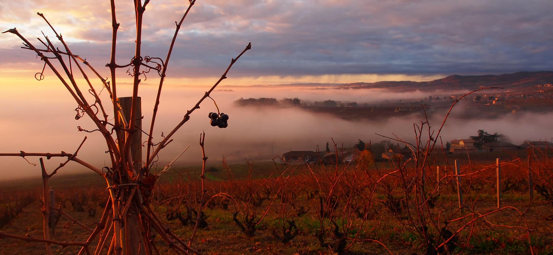 Vivre avec les saisons L'Hiver