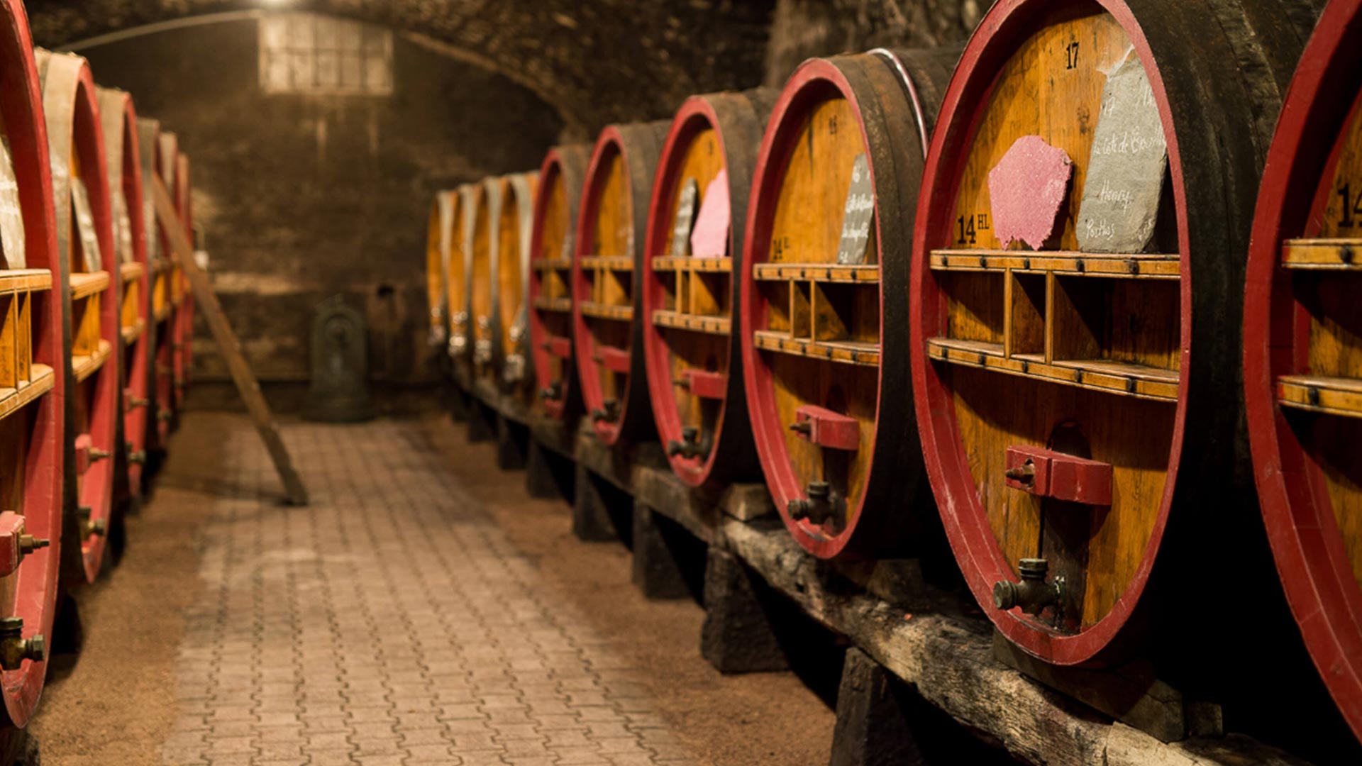 …donne un vin noble et élégant, reflet du terroir…