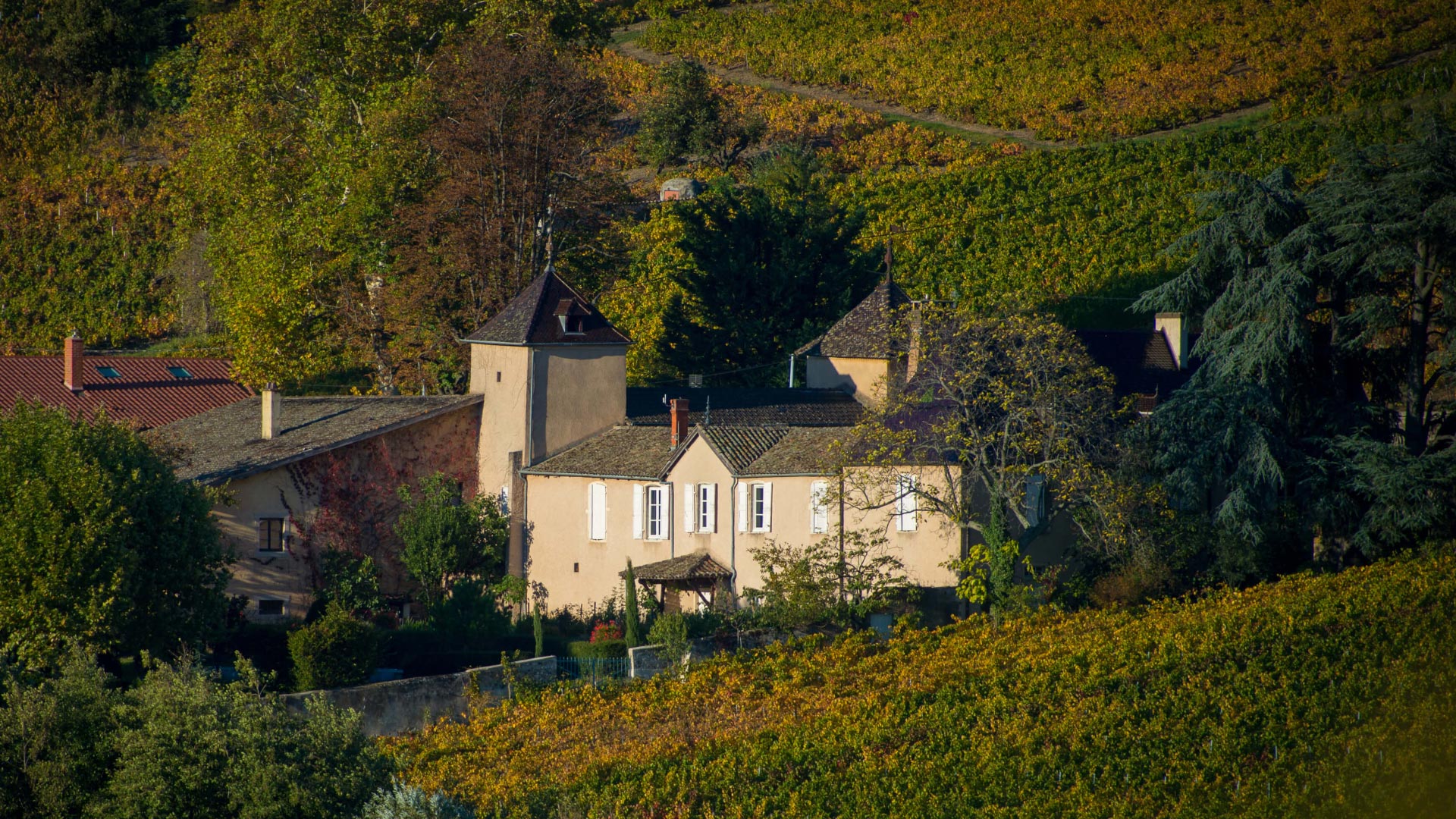 …un patrimoine préservé par la tradition…