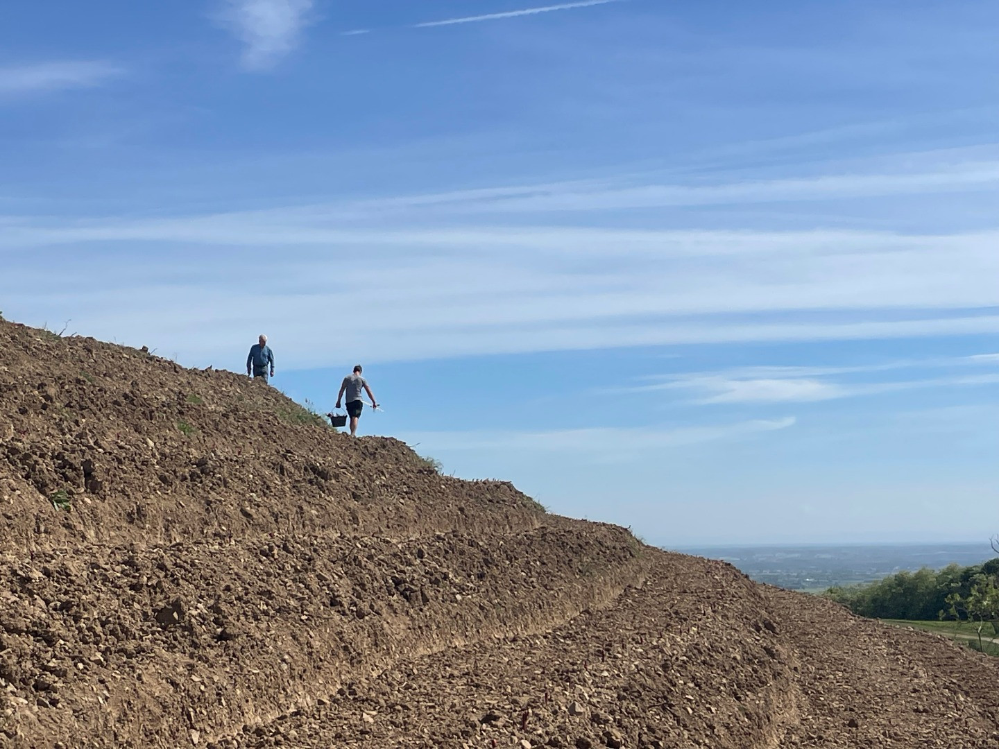 La première plantation de vignes en terrasses en Côte de Brouilly.