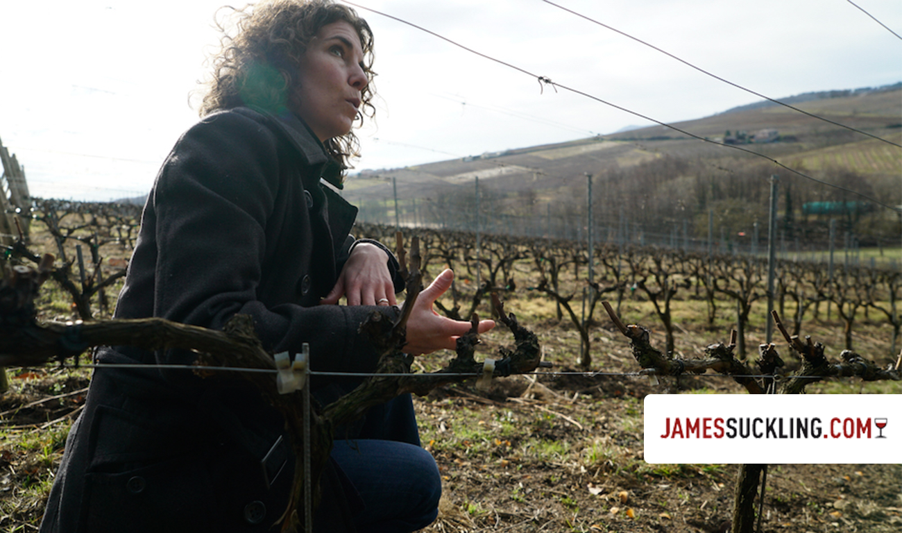 Why you shouldn’t miss the fantastic 2015 Beaujolais; 2016 and 2017 also show promise - 2017/11