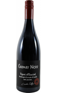 Gamay Noir